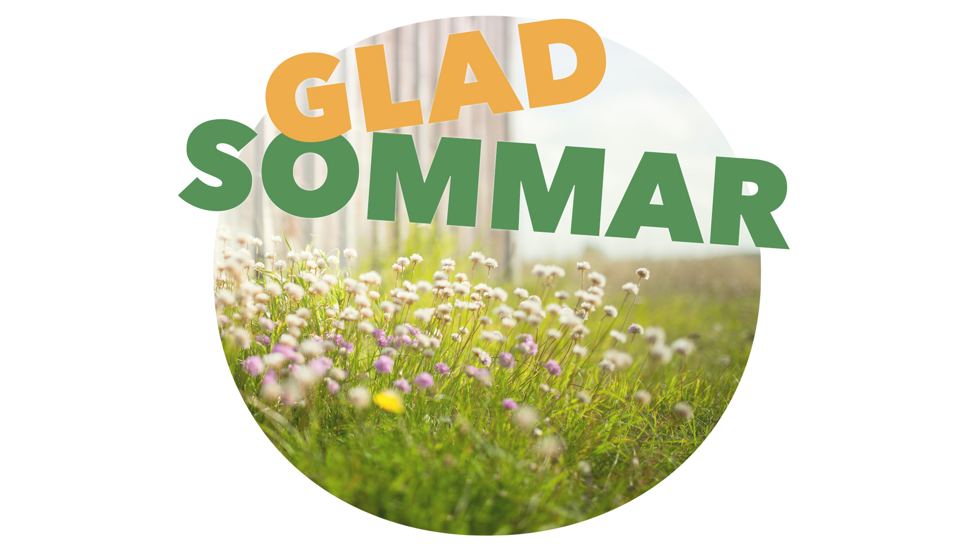 Bild på sommaräng med texten "Glad sommar" i gult och grönt.