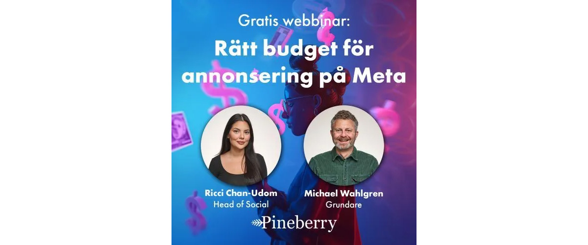 Webbinar hos Pineberry om annonsering på Meta